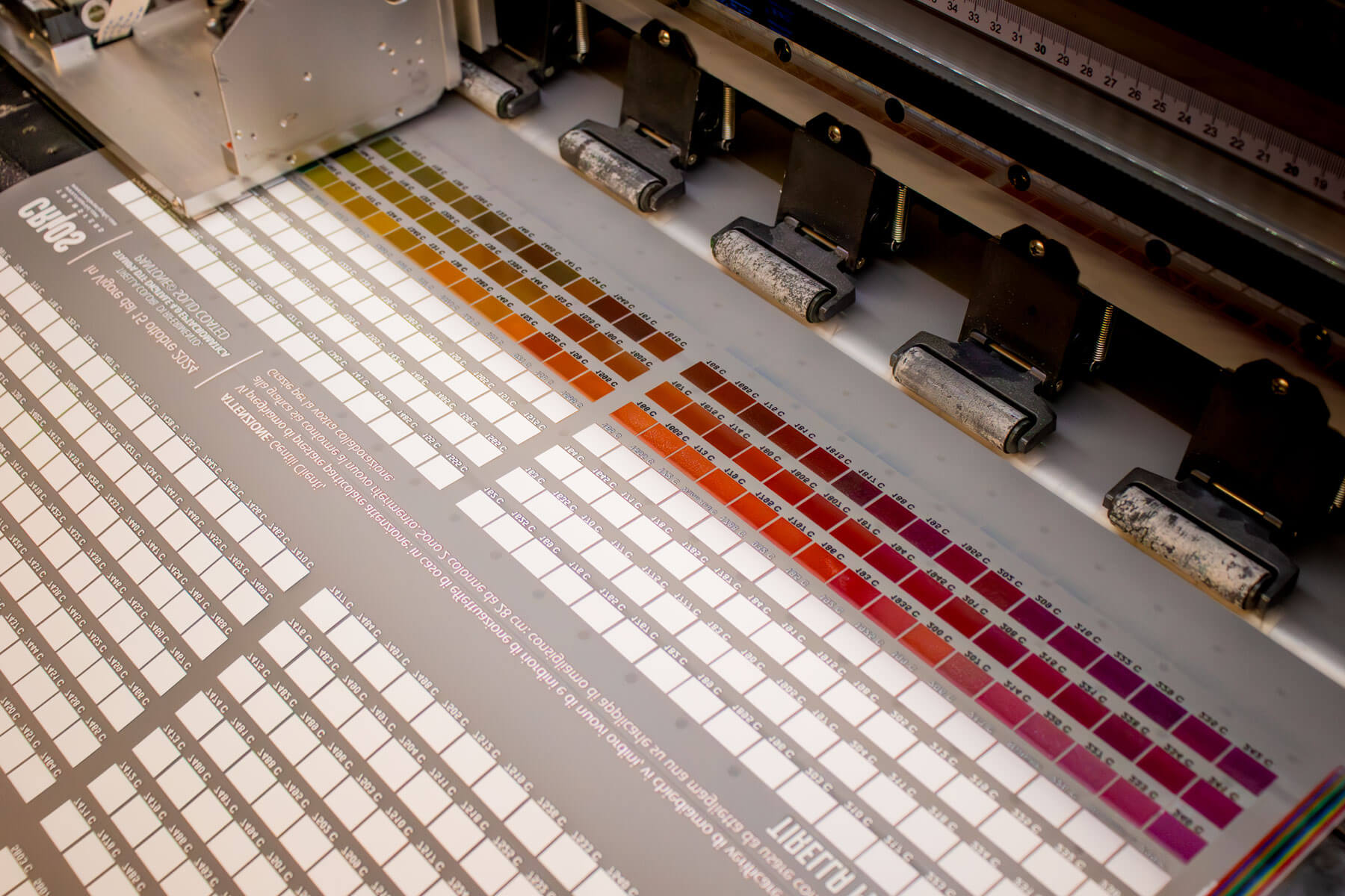 Stampa di DTF con alcune prove colore